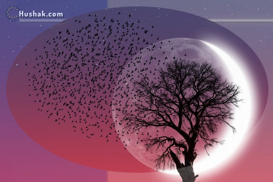 2025 թվականի հոկտեմբերի 7-ի լուսնային-արևային աստղագուշակ