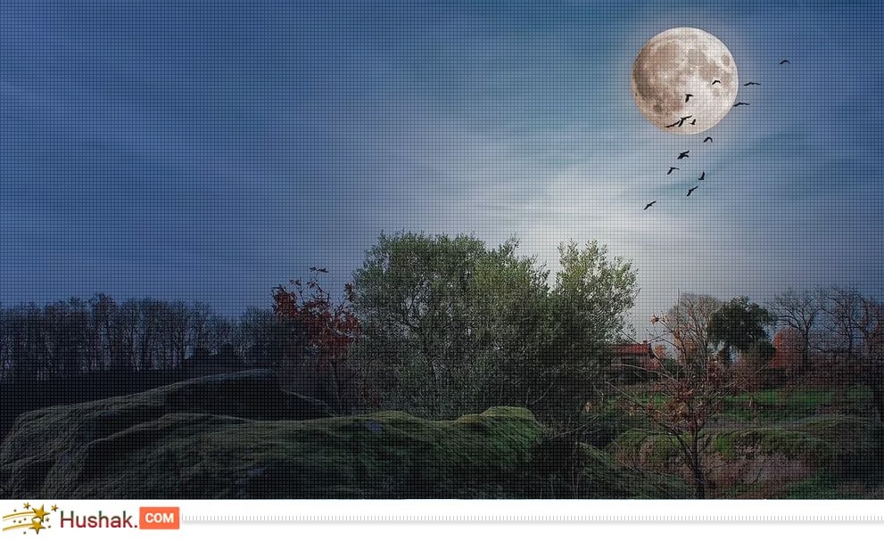 Դեկտեմբերի 10-ի լուսնային-արևային աստղագուշակը