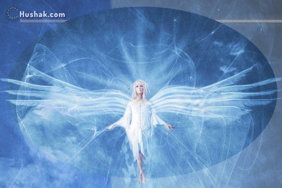 Երազահան. Թևեր