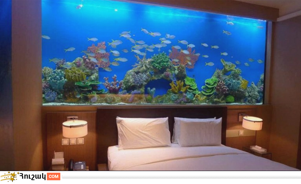 Երազահան. Ակվարիում