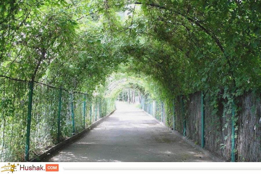 Երազահան. Այգի