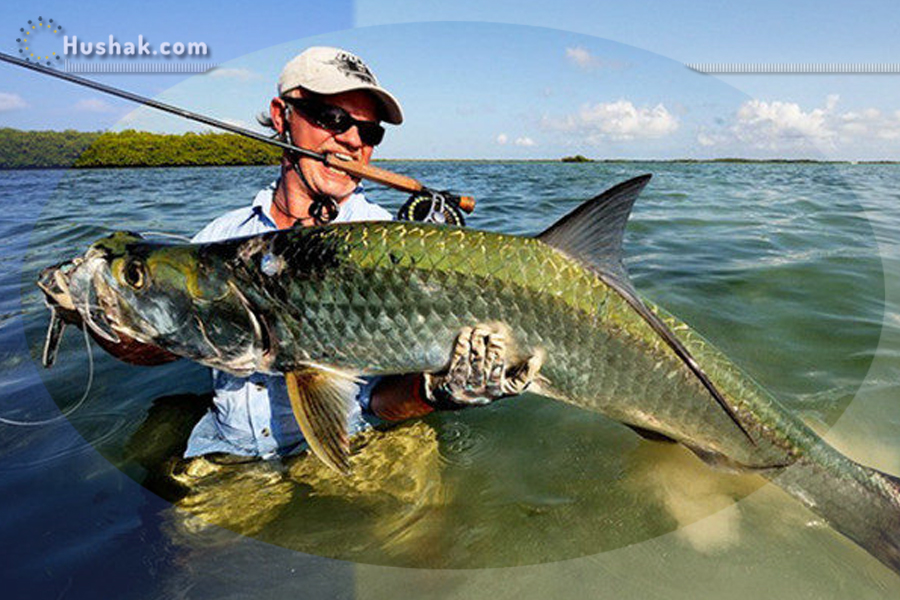 Երազահան. Ձուկ, ձկնորսություն