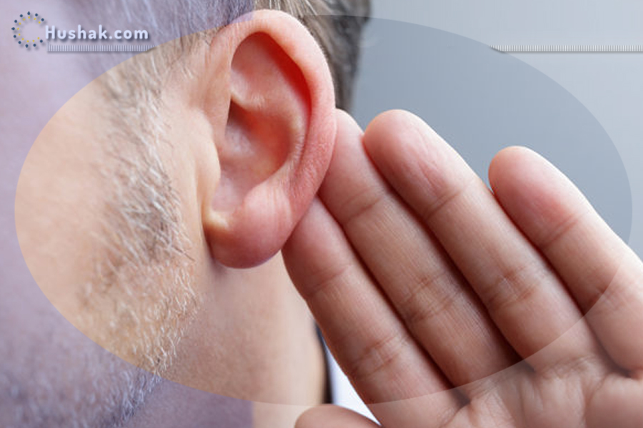 Երազահան. Ձայն