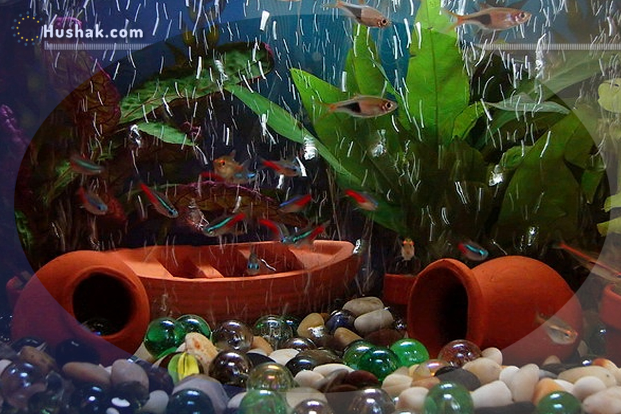 Երազահան. Ոսկե ձկնիկ