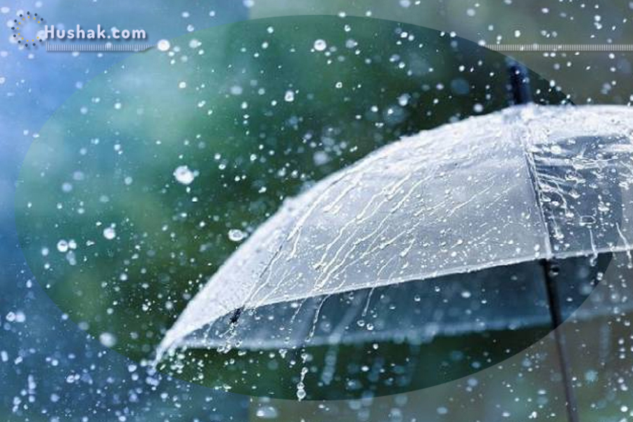 Երազահան. Տեղումներ