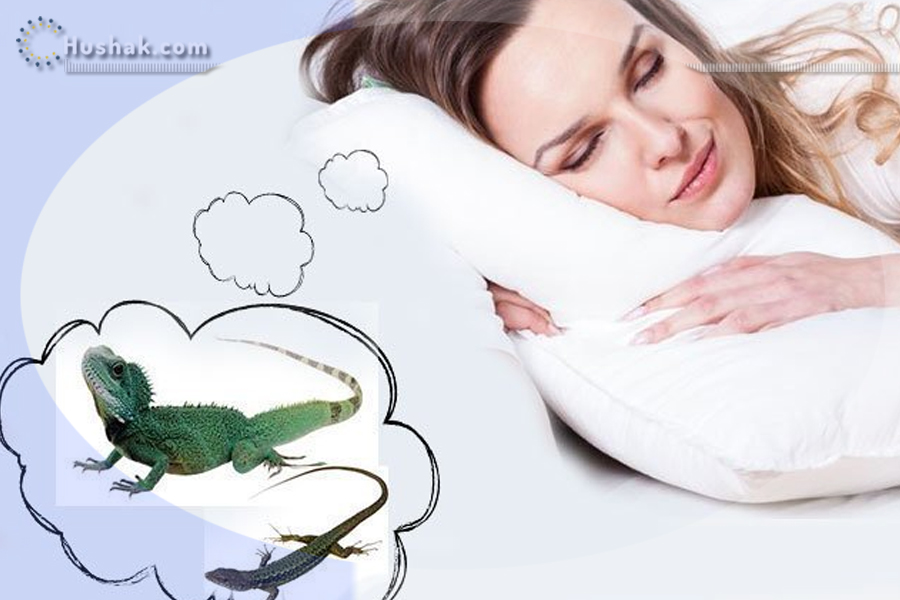 Երազահան. Մողես