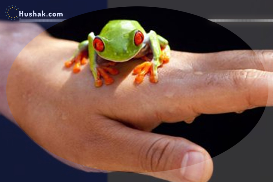 Երազահան. Պալարներ և գորտնուկներ