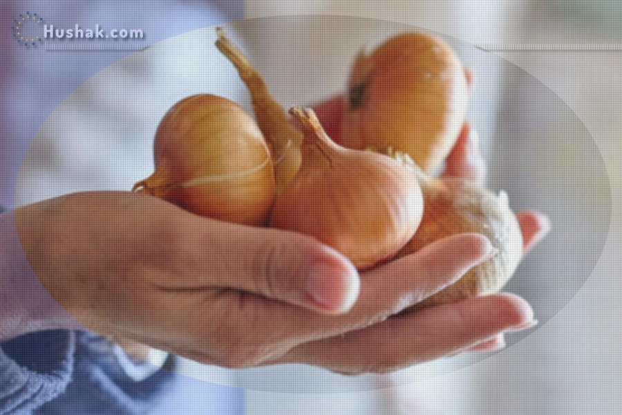 Երազահան. Սոխ