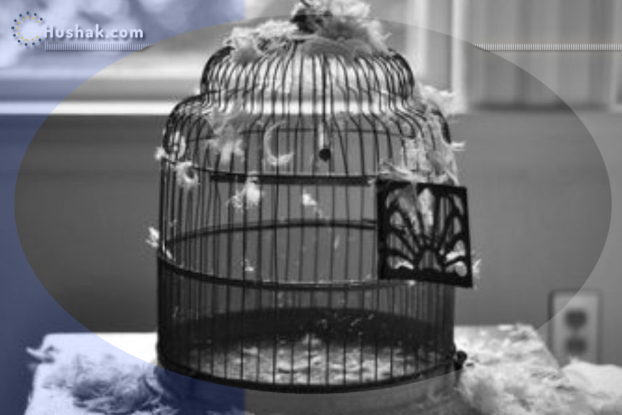 Երազահան. Վանդակ