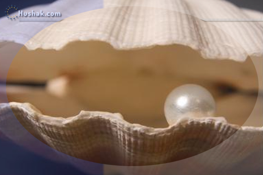 Երազահան. Մարգարիտ