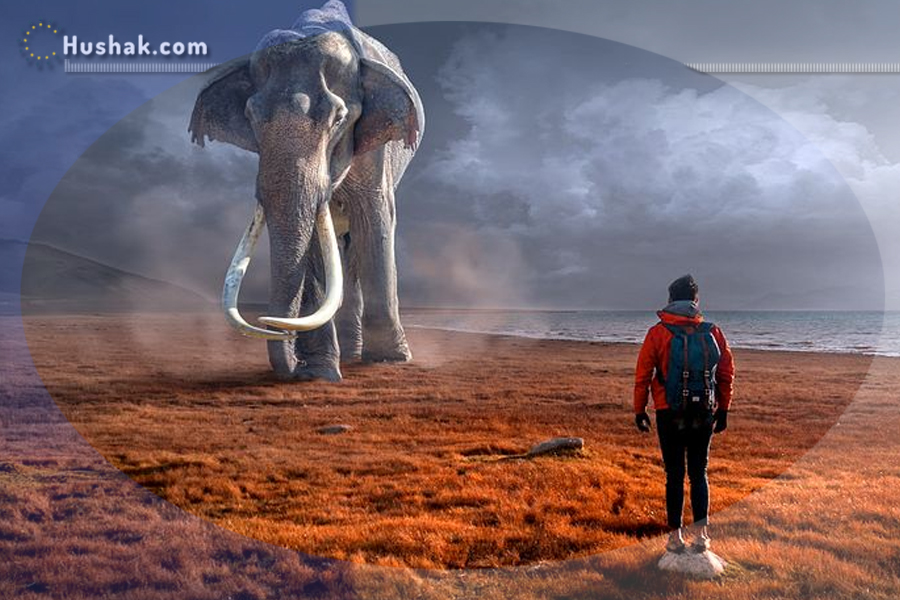 Երազահան. Փիղ